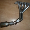 Manifold and cat